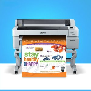 Epson SureColor SC-T5270- 36" Wide